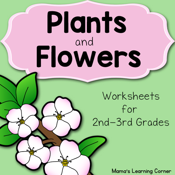 Plants and Flowers Worksheets - Mamas Learning Corner