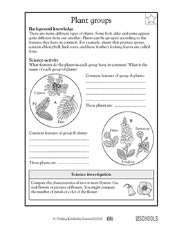 Plant groups | 3rd grade, 4th grade Science Worksheet | GreatSchools
