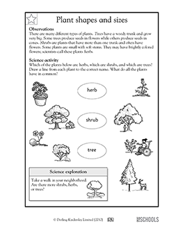 For The First Grade Science Worksheets Parts Of The Flower | First ...
