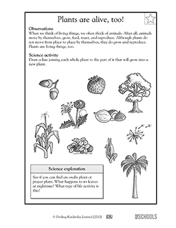 Plants are alive, too! | 1st grade, 2nd grade, Kindergarten ...