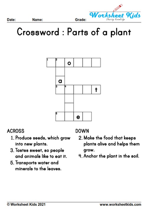 Free Plant Parts &amp; Functions Worksheets: Preschool to 2nd Grade