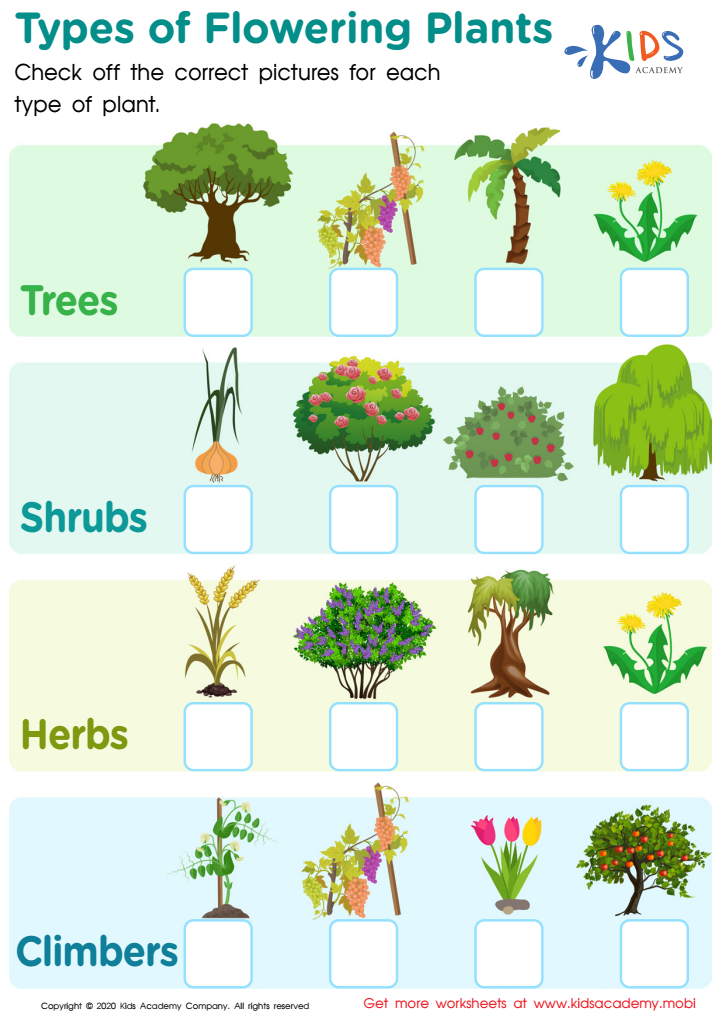 plant worksheet for kids