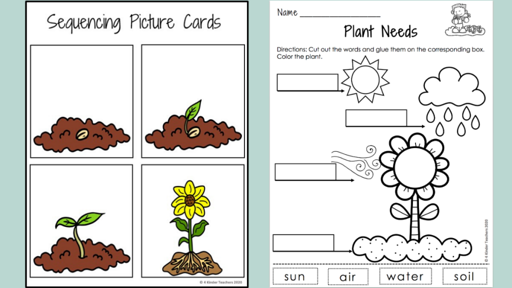 Plant Activities for Kindergarten in Every Subject 4 Kinder Teachers Plant Activities for Kindergarten in Every Subject 4 Kinder Teachers