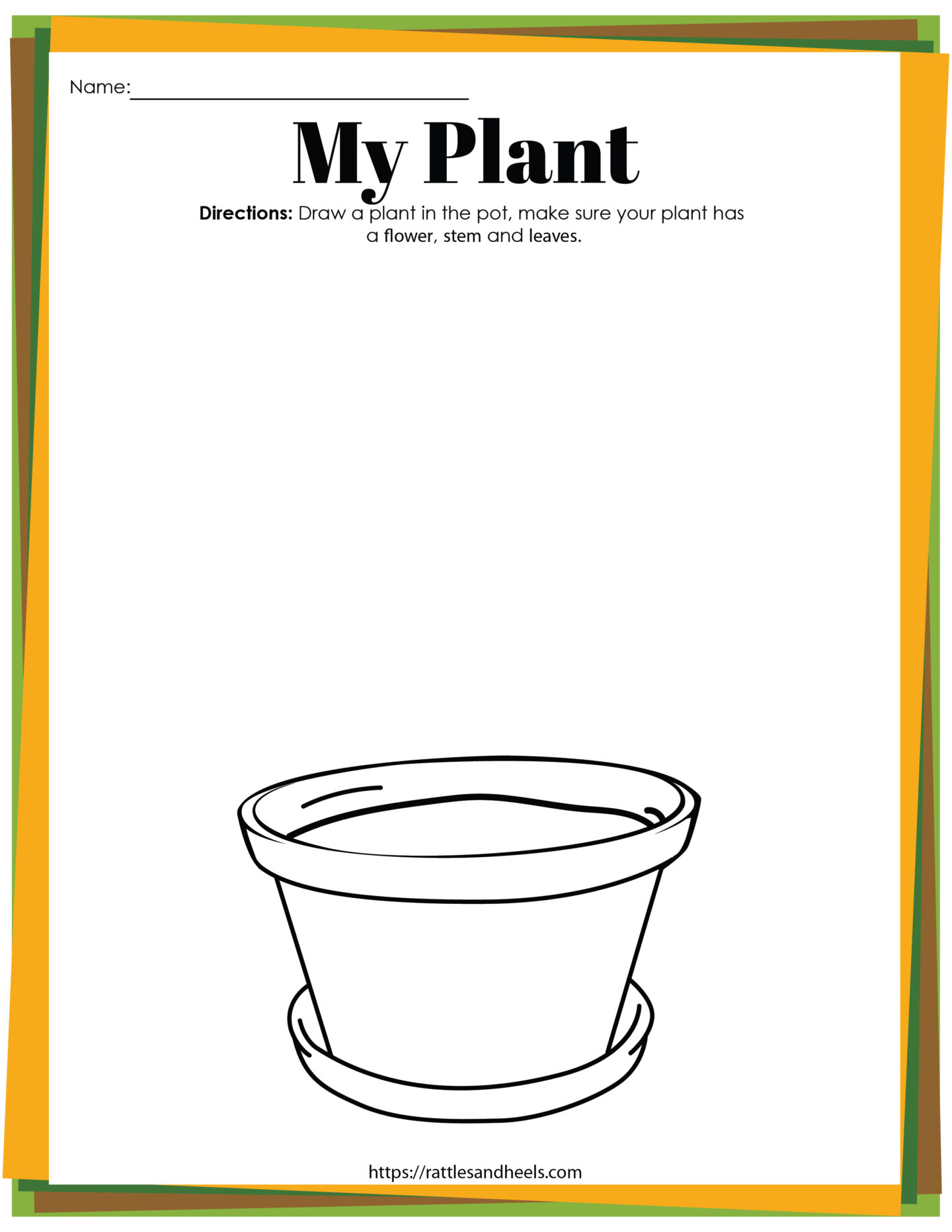 plant worksheet for preschool