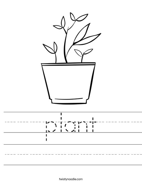 plant Worksheet - Twisty Noodle