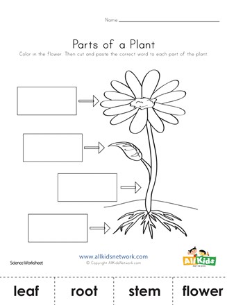 planting worksheet for kids
