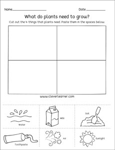 planting worksheet for preschool