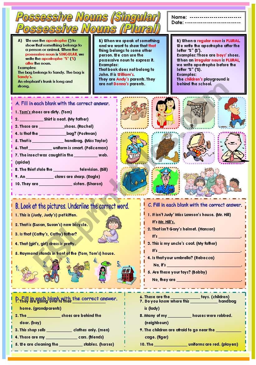 plural and singular possessive nouns worksheet