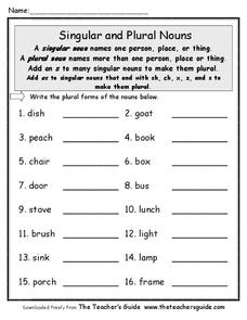 Singular Noun Lesson Plans &  Worksheets :: 73 - 96