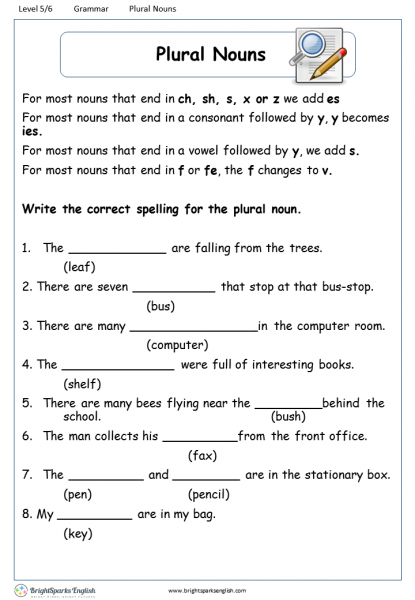 plural noun worksheet