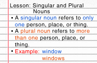 Singular and Plural Nouns | Turtle Diary Lesson