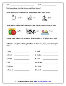 plural nouns worksheet 3rd grade