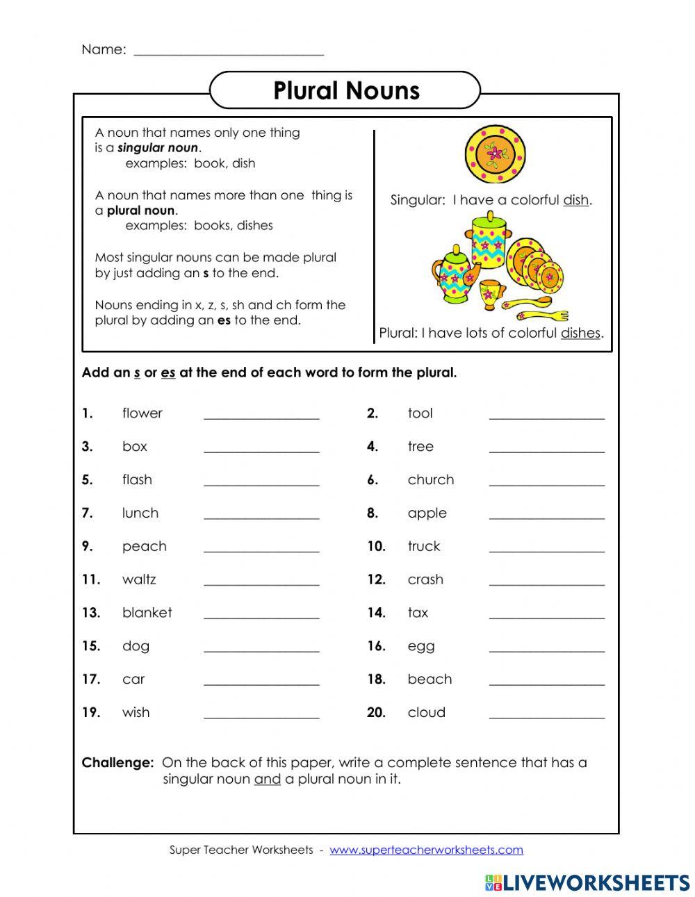 Plural Nouns Grade 4 online exercise for Live Worksheets Worksheets