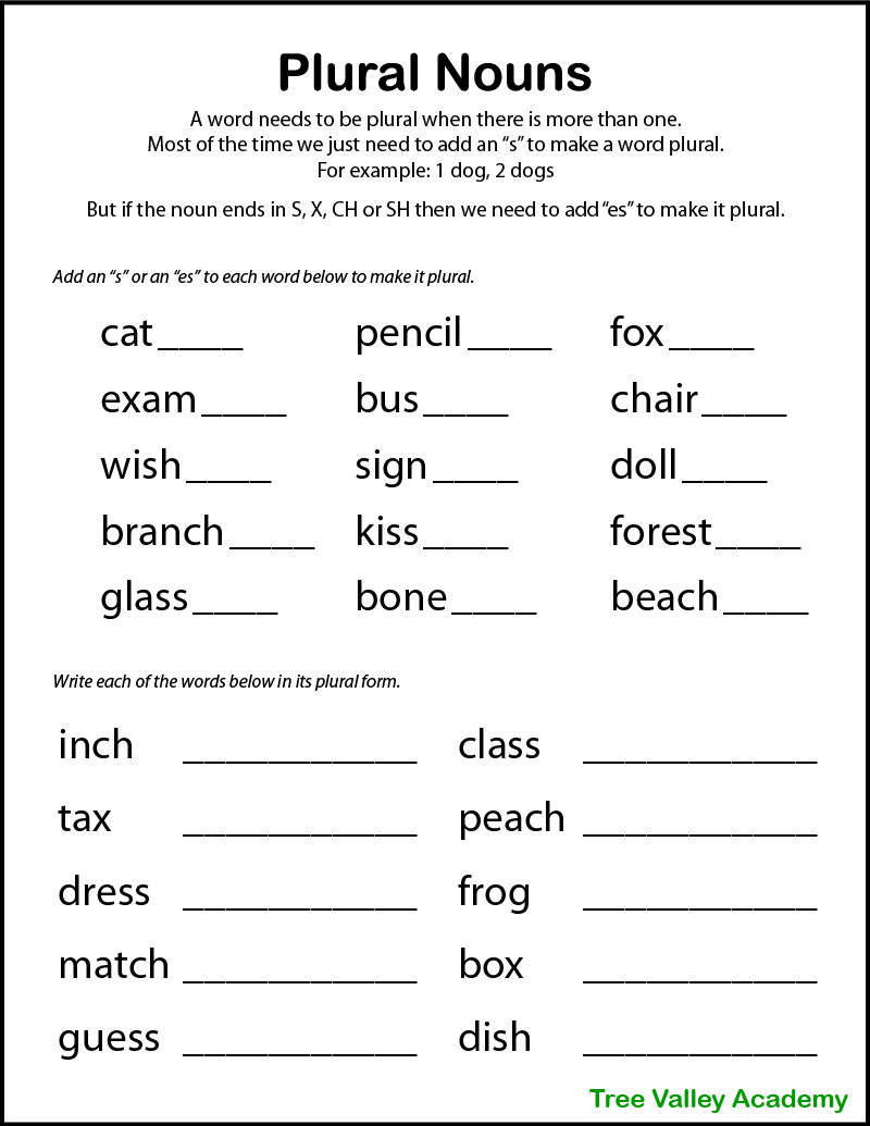 plural nouns worksheet 4th grade