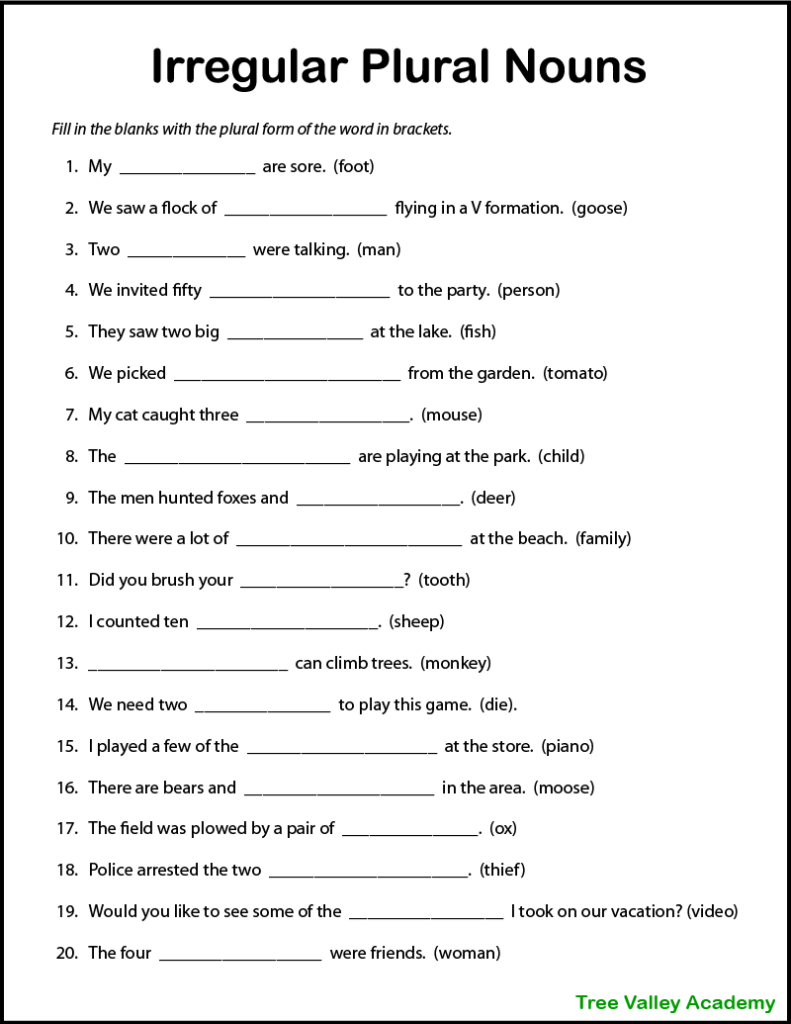 plural nouns worksheet grade 6