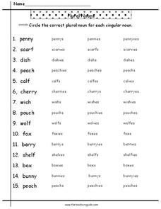 Plural Nouns 6 Worksheet for 2nd - 4th Grade | Lesson Planet