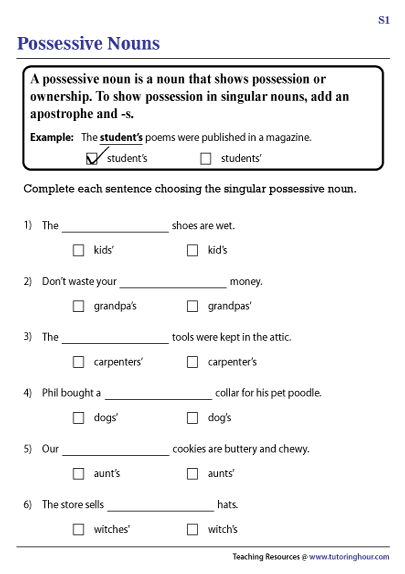 plural possessive worksheet 4th grade
