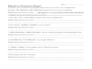 plural vs possessive worksheet
