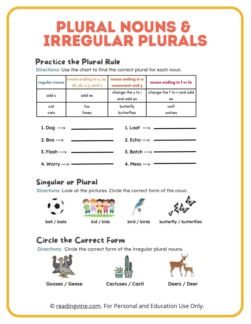 Plural &  Irregular Plural Nouns Worksheets - ReadingVine
