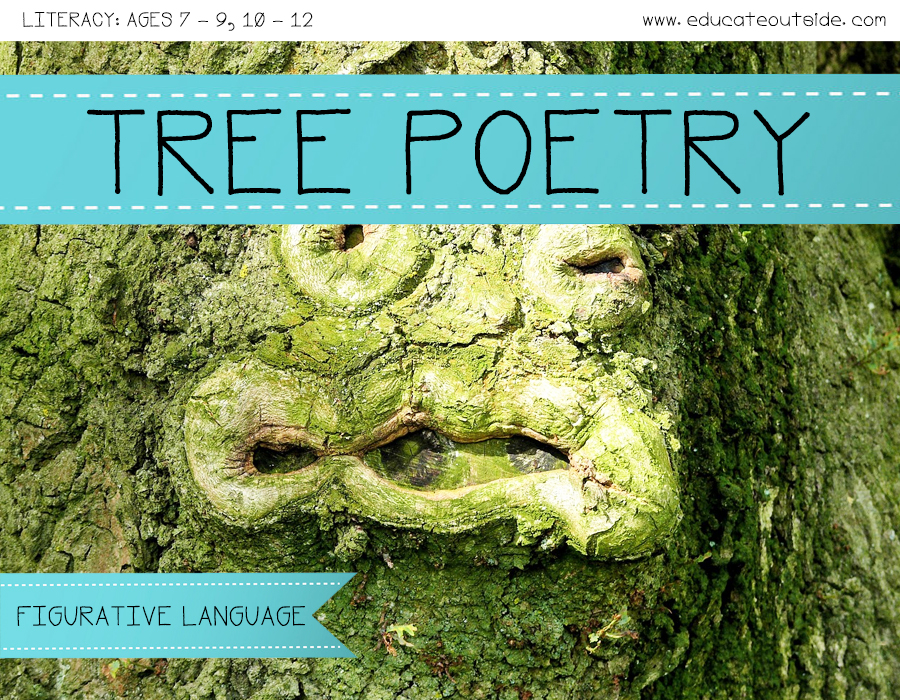 The Library Voice: Plant A Poet Tree &  Watch It Grow For Poetry ...