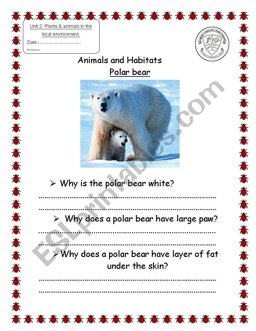 English worksheets: polar bear habitat