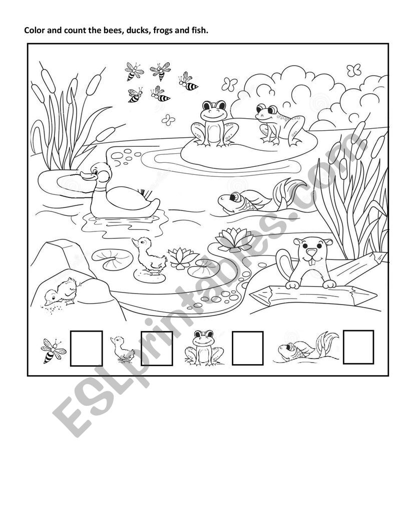 Pond animals - ESL worksheet by LinaMID