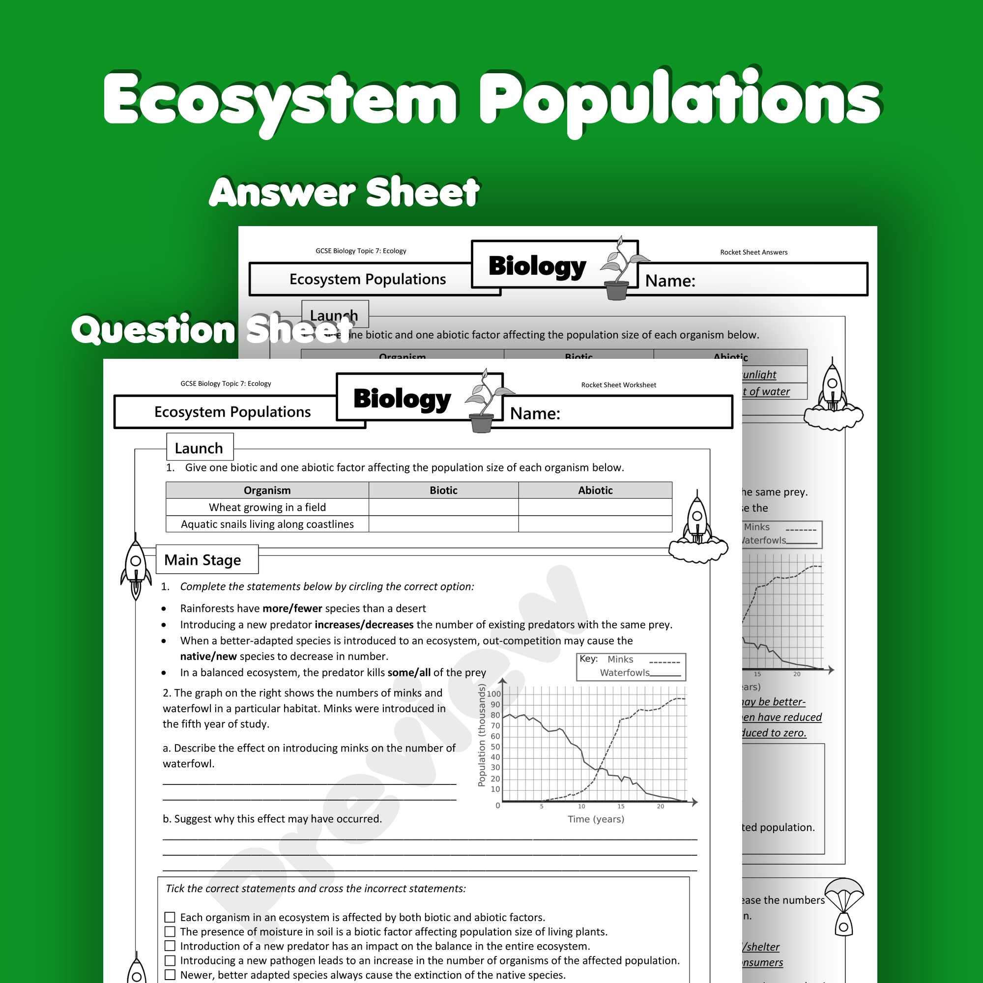 Ecosystem Populations Home Learning Worksheet GCSE