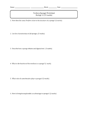 Animalia: Porifera &  Cnidaria worksheet  