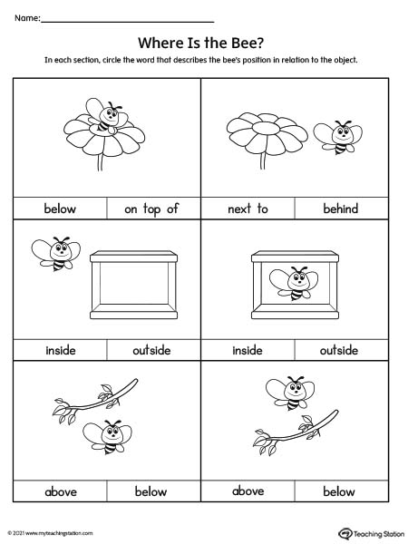 Positional Words Worksheet: On Top Of, Next To, Behind, Inside ...