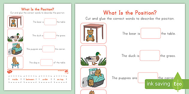 What Is the Position? Cut and Paste Activity (teacher made)