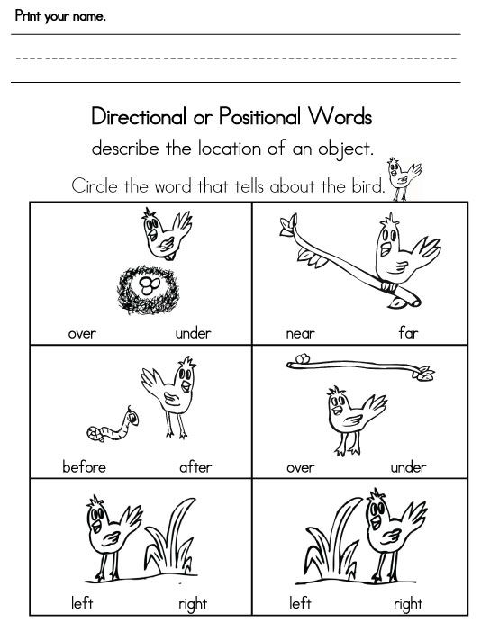 positional words worksheet for preschool