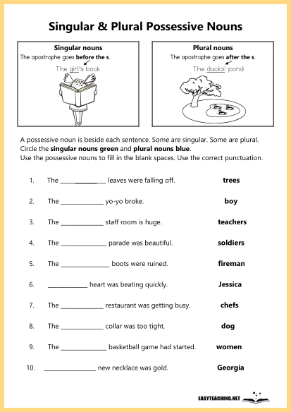 possessive and plural nouns worksheet