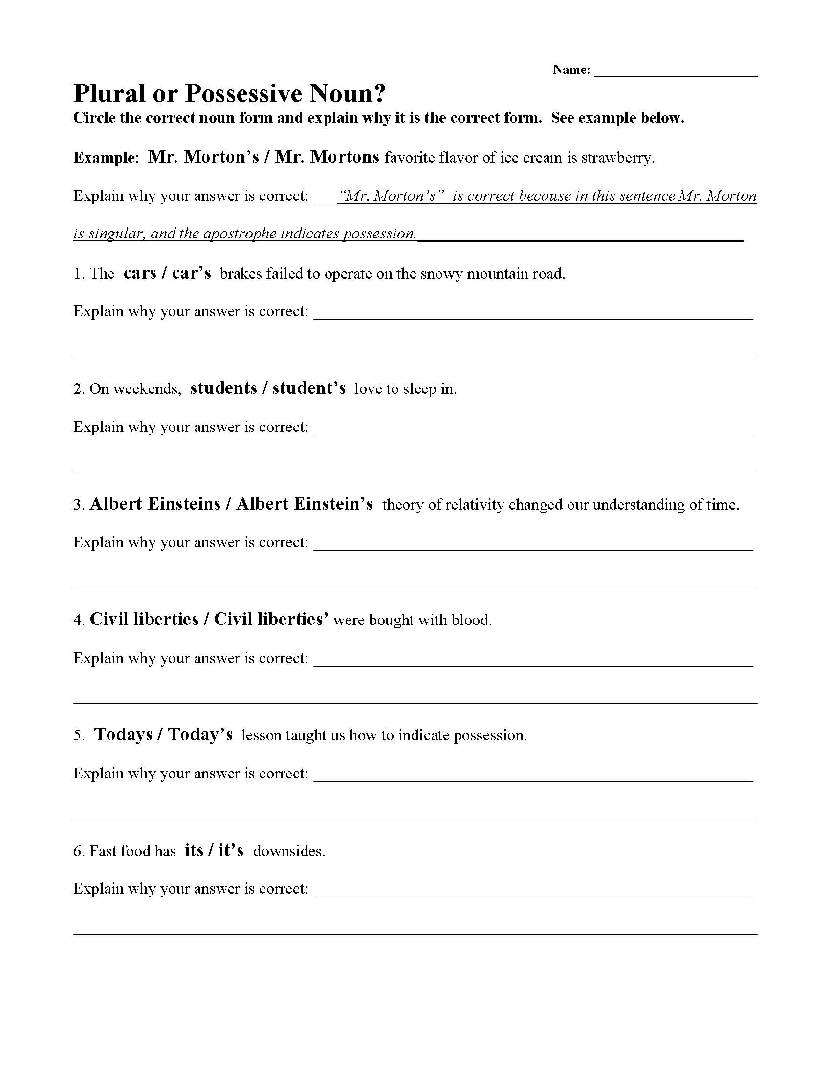 Plural or Possessive Noun Worksheet | Parts of Speech Activity