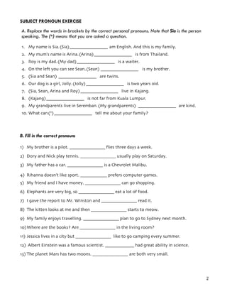 possessive noun and pronoun worksheet