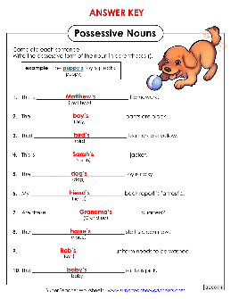 possessive noun worksheet 5th grade
