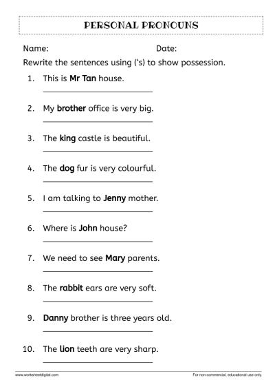 possessive noun worksheet 5th grade