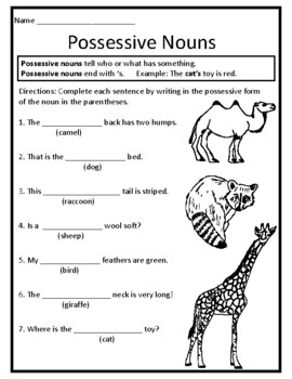 Possessive Nouns Worksheet Possessive Nouns First Grade Worksheet ...