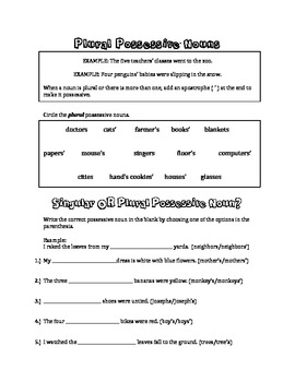 possessive nouns printable worksheet