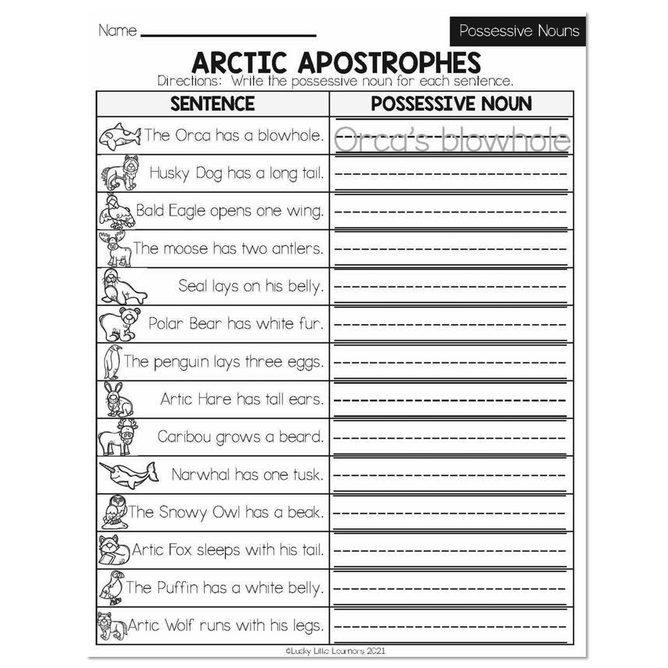 possessive nouns worksheet 2nd grade