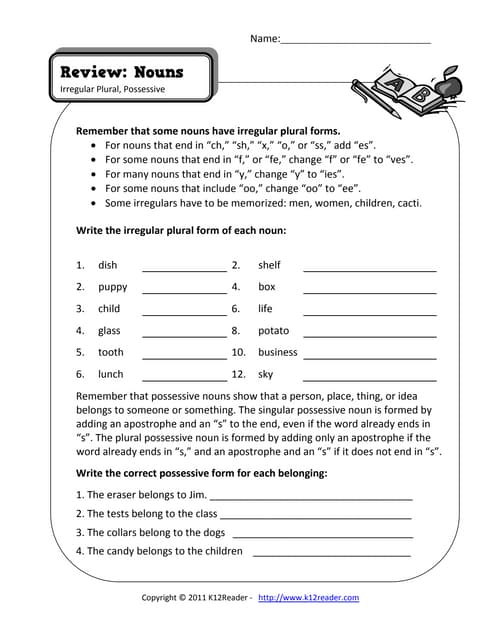 Plural noun worksheet | PDF