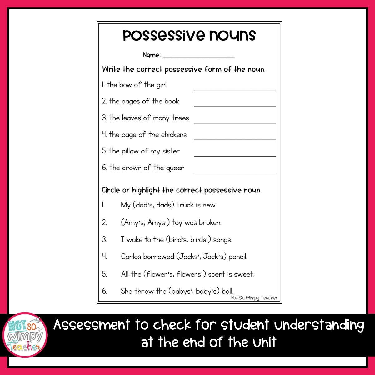 possessive nouns worksheet second grade