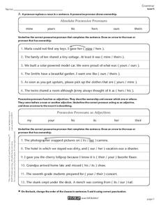 possessive pronouns worksheet 4th grade