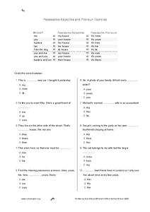 possessive pronouns worksheet 5th grade
