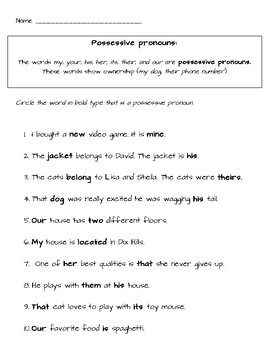 possessive pronouns worksheet 5th grade