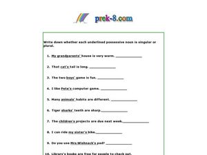 possessive vs plural worksheet
