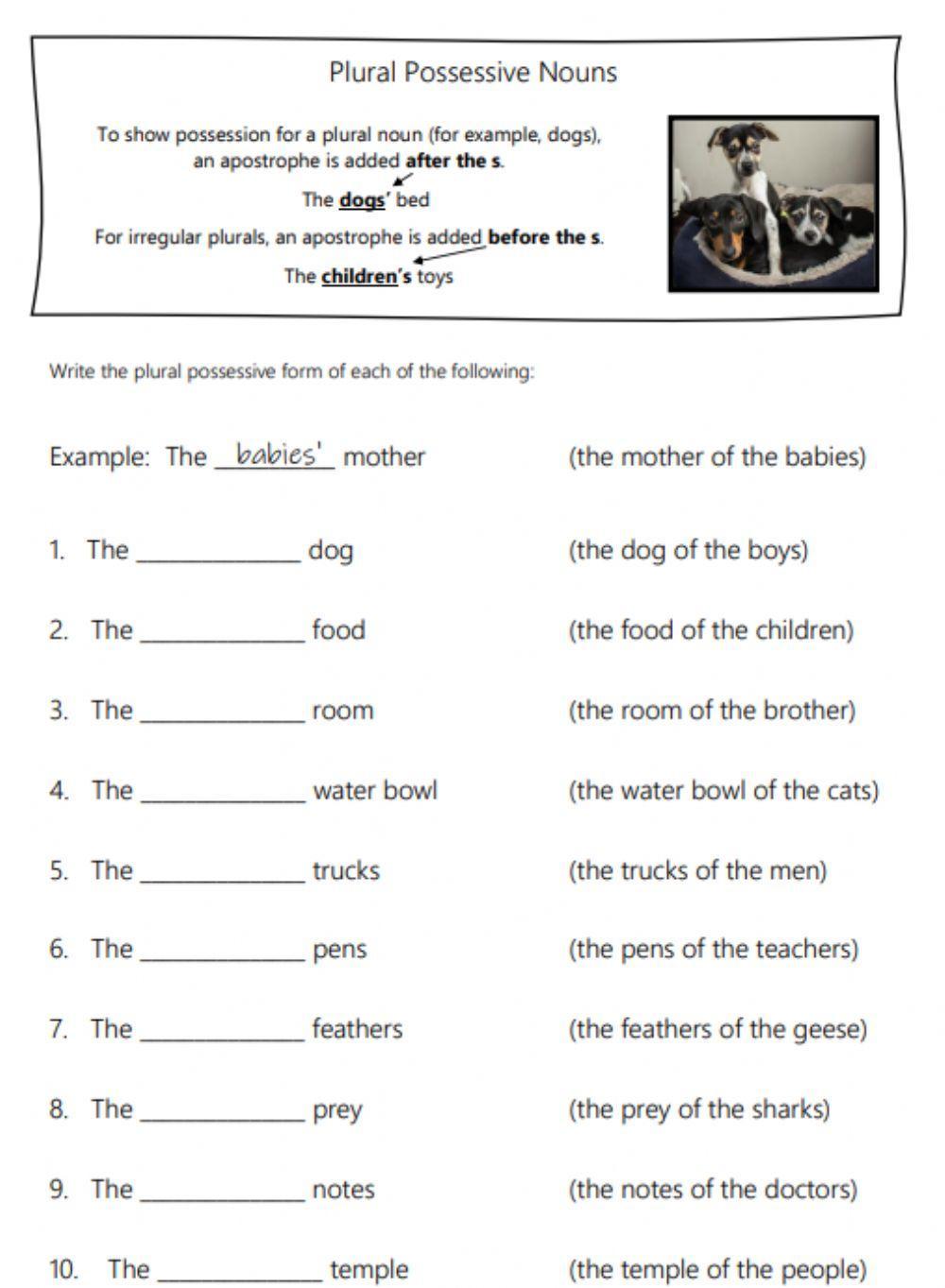 Plural Noun Possessives worksheet  