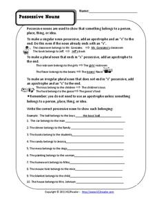 possessives worksheet 3rd grade