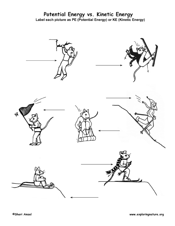 potential vs kinetic energy worksheet answers