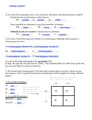 practice punnett squares worksheet