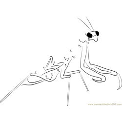 Praying Mantis Albuquerque dot to dot printable worksheet ...